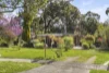 3 Betty Court, Mount Waverley, Vic 3149