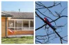 3 Blair Street, Watson, ACT 2602-Image