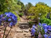 3 Blythe Street, Heybridge, Tas 7316-Image