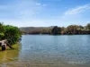 3 Blythe Street, Heybridge, Tas 7316-Image