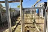3 Borlase Street, Ceduna, SA 5690-Image