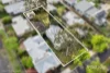 3 Bostock Avenue, Manifold Heights, Vic 3218-Image