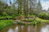 3 Braemar Terrace, Stirling, SA 5152-Image