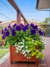 3 Bridge Street, Wynyard, Tas 7325-Image