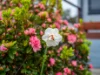 3 Bridge Street, Wynyard, Tas 7325-Image