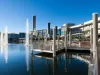 3 Chatswood Court, Robina, Qld 4226-Image
