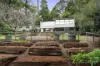 3 Christian Grove, Kallista, Vic 3791-Image