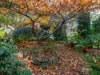 3 Chuter Street, Deep Bay, Tas 7112-Image