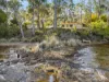 3 Chuter Street, Deep Bay, Tas 7112-Image