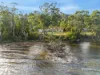 3 Chuter Street, Deep Bay, Tas 7112-Image