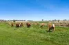 3 Cleeland Street, Gunbower, Vic 3566-Image