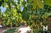 3 Clover Square, Girrawheen, WA 6064-Image