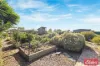 3 Clydesdale Drive, Two Wells, SA 5501-Image