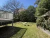 3 Cochrane Street, Paddington, Qld 4064-Image