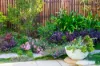 3 Colley Lane, Noosaville, Qld 4566-Image