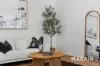 3 Colton Avenue, Hove, SA 5048-Image
