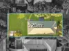3 Cornuta Close, Bellbowrie, Qld 4070-Image