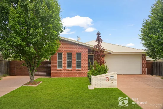 3 Costigan Court, Mudgee, NSW 2850