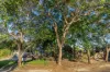 3 Crown Close, Edmonton, Qld 4869-Image