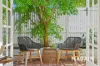 3 Curnow Street, Brighton, SA 5048-Image
