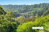 3 Currowan Street, Nelligen, NSW 2536-Image