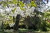 3 Dampier, Forrest, ACT 2603-Image