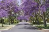 3 Dee Road, Applecross, WA 6153-Image