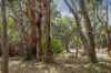 3 Devon Drive, Margaret River, WA 6285-Image