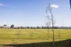 3 Djerrkura Street, Bonner, ACT 2914-Image