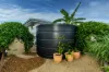 3 Dolphin Court, Agnes Water, Qld 4677-Image