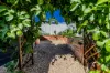 3 Dolphin Court, Agnes Water, Qld 4677-Image