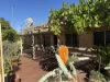 3 Dominican Close, Port Denison, WA 6525-Image