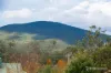 3 Donna View Rise, Yarra Junction, Vic 3797-Image