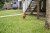 3 Dowle Street, Bellingen, NSW 2454-Image