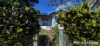 3 Enid May Lane, Mossman, Qld 4873-Image