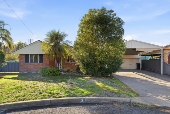 3 Erwin St, South Tamworth, NSW 2340