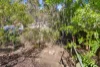 3 Eucalypt Court, Stonyfell, SA 5066-Image