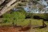 3 Fawcett Ridge, Orange, NSW 2800-Image