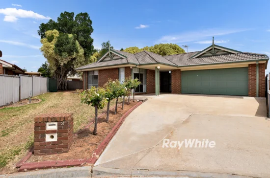 3 Fawkner Court, Mildura VIC 3500-Image