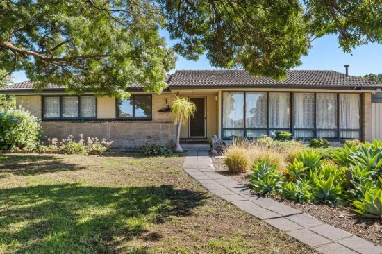 3 Field Court, Modbury North, SA 5092