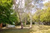 3 First Avenue, Katoomba, NSW 2780-Image