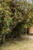 3 Frederick Street, Fawkner, Vic 3060-Image