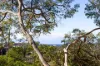 3 Gipps Place, Cromer, NSW 2099-Image