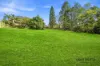 3 Gladys Crescent, Seven Hills, NSW 2147-Image