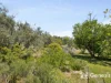 3 Glebe Road, Darlington, WA 6070-Image