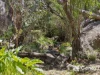 3 Glebe Road, Darlington, WA 6070-Image