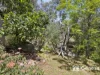 3 Glebe Road, Darlington, WA 6070-Image