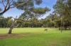 3 Glen Avenue, East Geelong, Vic 3219-Image