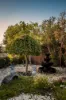 3 Golden Court, Doncaster, Vic 3108-Image