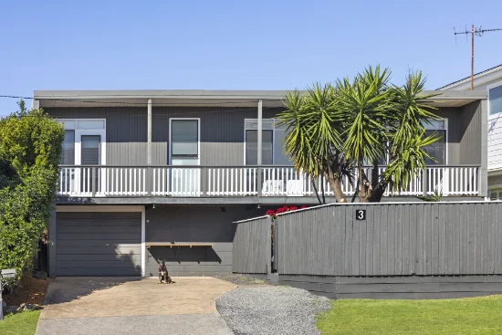 3 Government Road, Beacon Hill, NSW 2100